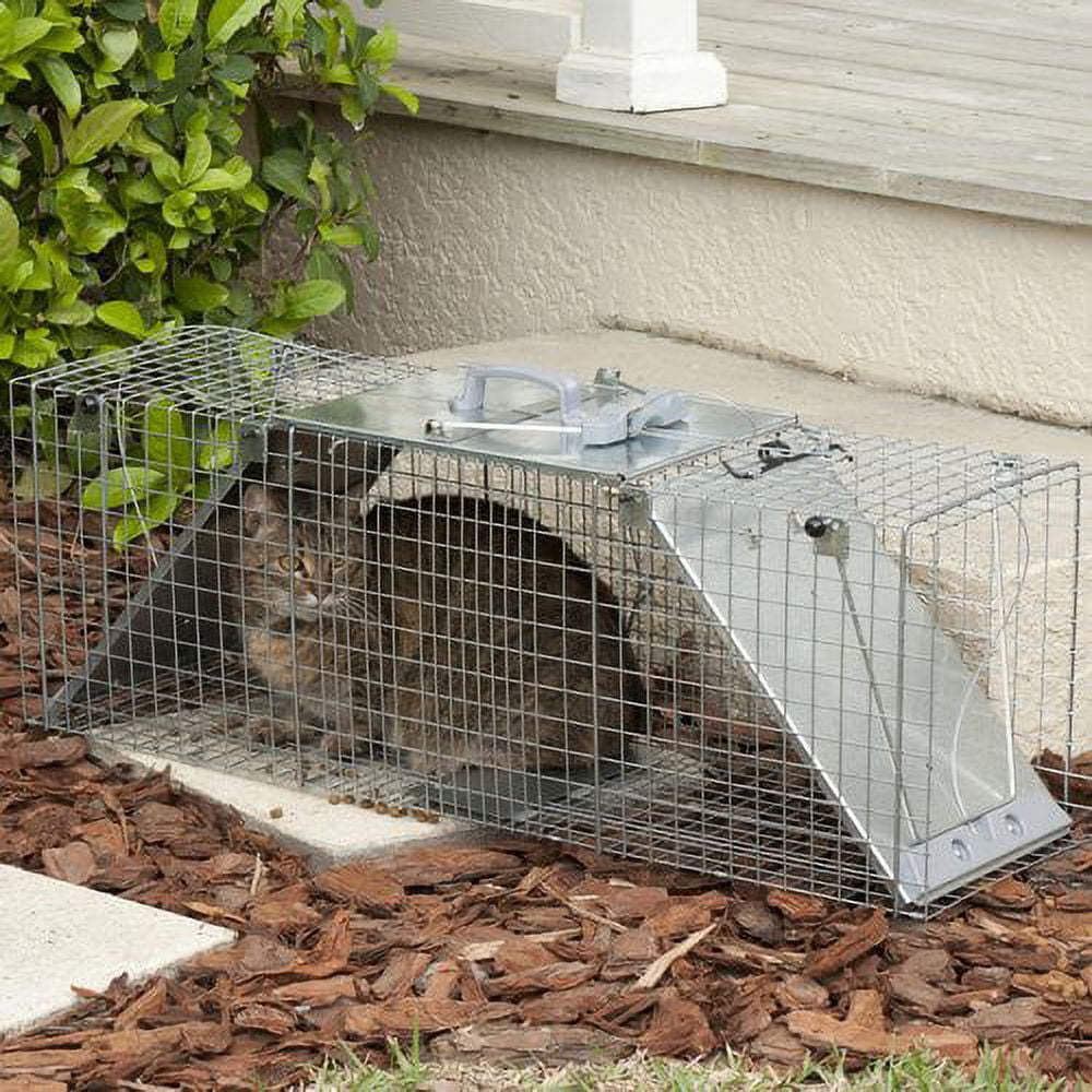 NEW - LARGE HAVE-A-HEART 31 ANIMAL TRAP - farm & garden - by owner - sale  - craigslist