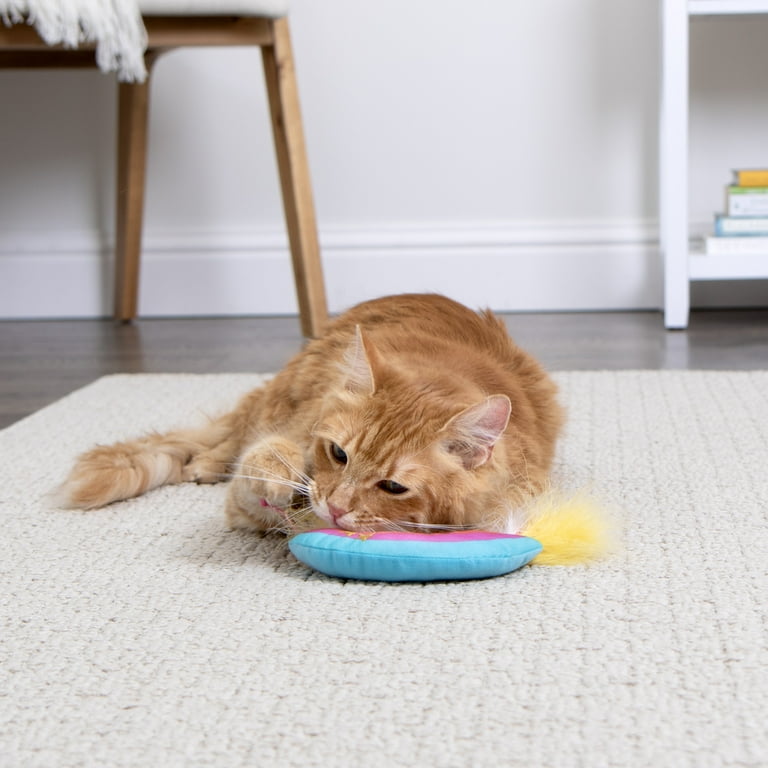 SmartyKat Rainbow Ruckus Catnip Kicker Cat Toy with Raffia