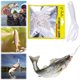 thumbnail image 5 of Señuelo Calamar Cebo Suave Artificial 20 Piezas Tubo 4 8 Cm Accesorios Pesca, 5 of 9