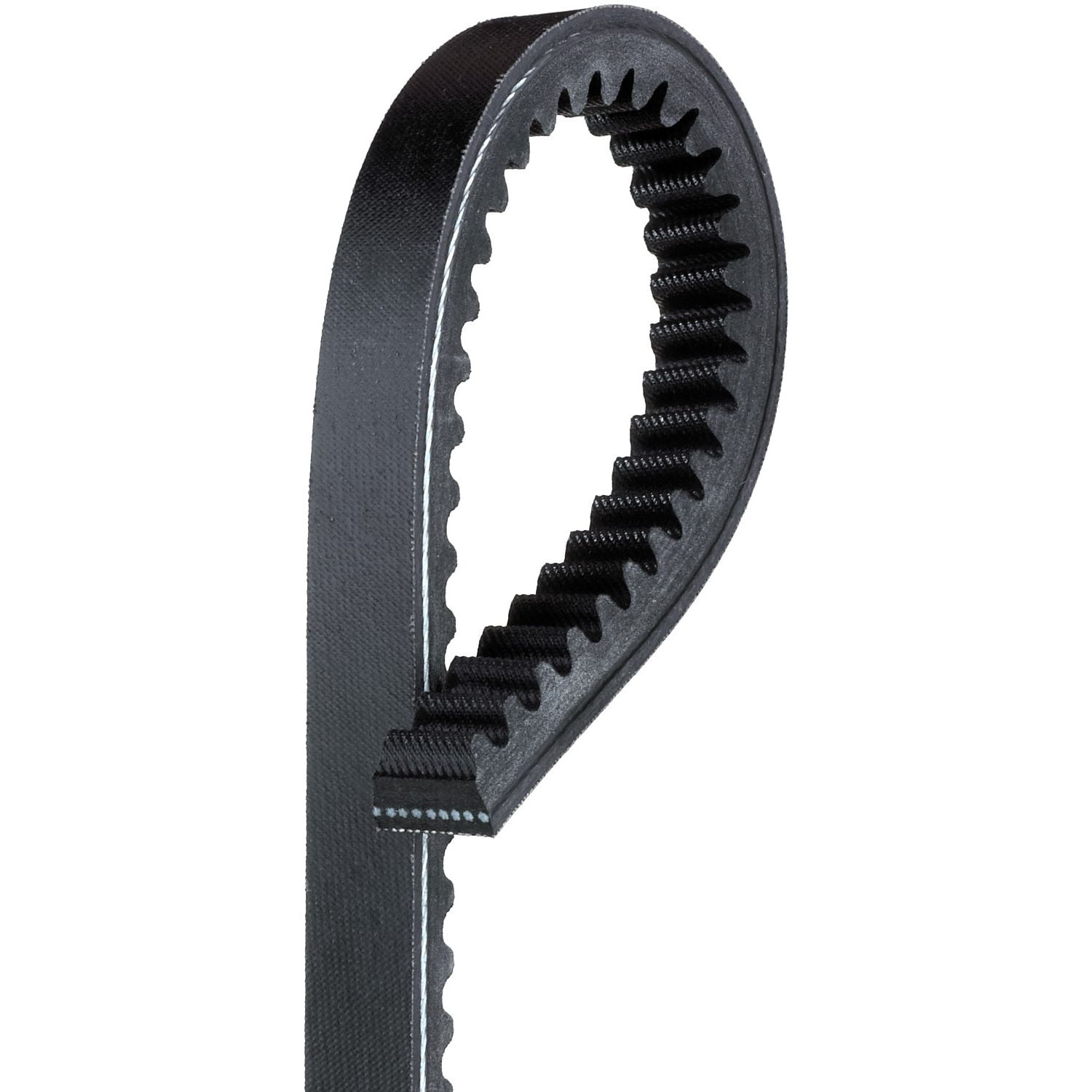 Accessory Drive Belt