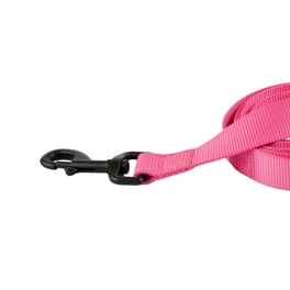 Paws and Pups Durable 6ft Nylon Dog Leash with neoprene padded handle Flamingo 5 8 width Walmart