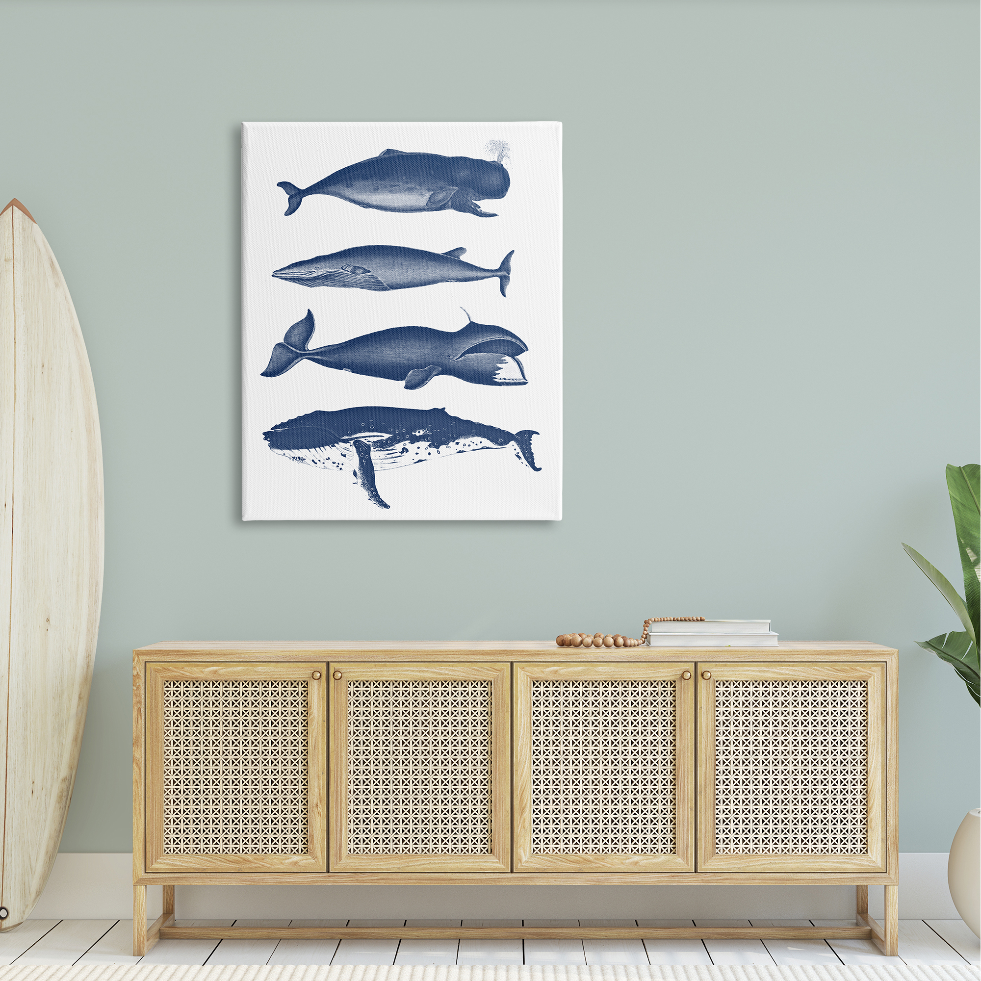Stupell Industries Various Whales Types Sea Life Detailed Illustrations Graphic Art Gallery Wrapped Canvas Print Wall Art, Design by Lettered and Lined