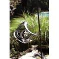 thumbnail image 4 of Cosmix Chrome single Crystal Wind Spinner - 11 inch, 4 of 6