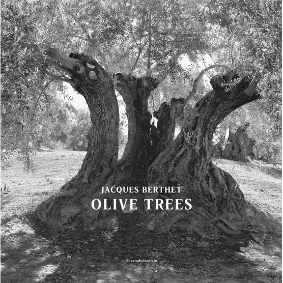 Jacques Berthet: Olive Trees, (Hardcover)