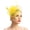 Yellow, variant on Women's Mesh Veil Feather Floral Fascinator Hat Hair Clip Pillbox Multi-Color Option for Kentucky Derby Bridal Wedding Cocktail Formal Event 1920s Themed Costume Photoshoot Black One Size
