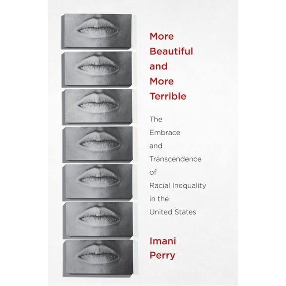 More Beautiful and More Terrible: The Embrace and Transcendence of Racial Inequality in the United States, (Paperback)