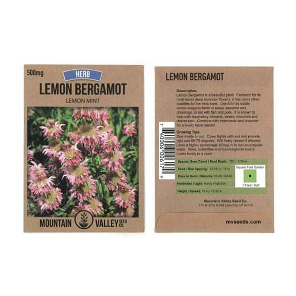 Lemon Mint Herb Garden Seeds - 500 mg Packet - Non-GMO, Heirloom Culinary Herbal Gardening Seeds - Monarda citriodora - AKA Lemon Bergamot