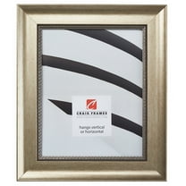 Craig Frames Annesbury, 16x20 inch Picture Frame, Queen Ann Antique Silver