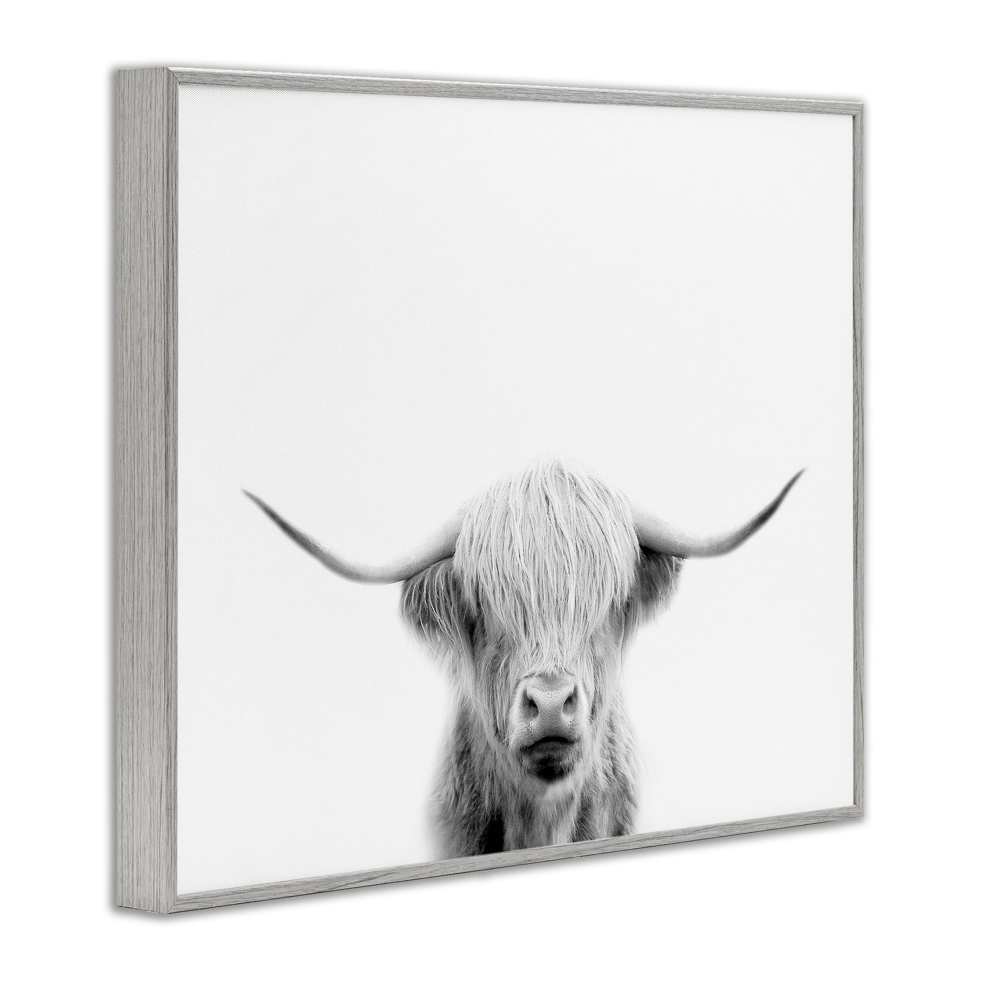 Stupell Industries Scottish Cow Portrait Gray Framed Giclee Art, design by Leah Straatsma