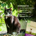 thumbnail image 6 of L-LYSINE CHEWS FOR CATS, 6 of 6