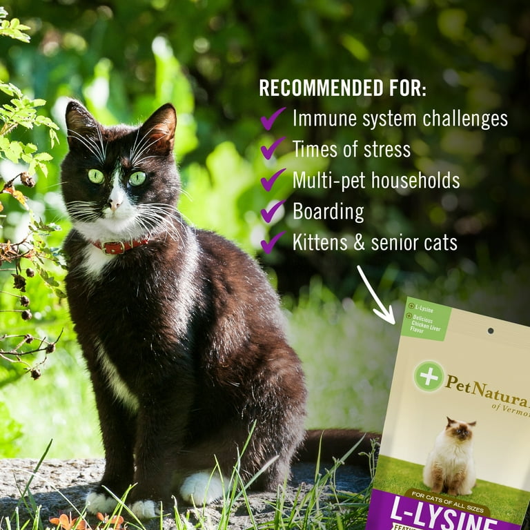Pet Naturals L-Lysine Chewable Supplements for Kittens, Chicken