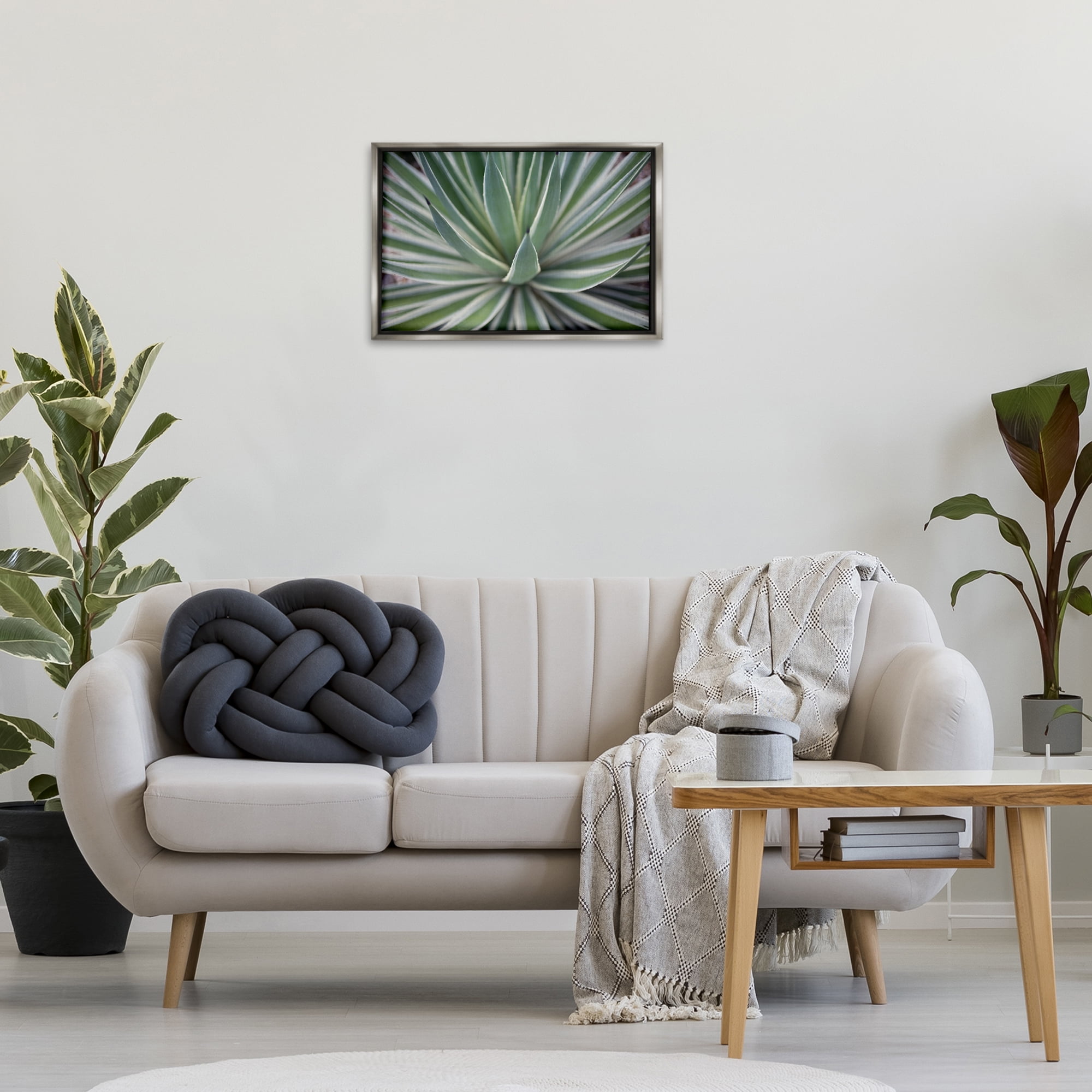 Stupell Industries Striped Plant Leaves Botanical & Floral Photography Gray Floater Framed Canvas Art Print Wall Art, 25 x 17