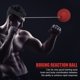 thumbnail image 2 of Tmvgtek 4X Muay Thai Hand Eye Training Ball Boxing Reflex Speed ​​Ball Con Diadema Tmvgtek Para estrenar, 2 of 8