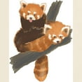 thumbnail image 3 of CafePress - Red Pandas Light T Shirt - Men's Classic Graphic T-Shirt, 3 of 4
