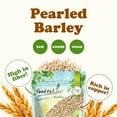 Pearl Barley, 25 Pounds Processed Hulled Barley, Cereal Grain, Kosher ...