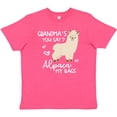thumbnail image 3 of Inktastic Grandma's You Say Alpaca My Bags Youth T-Shirt, 3 of 5