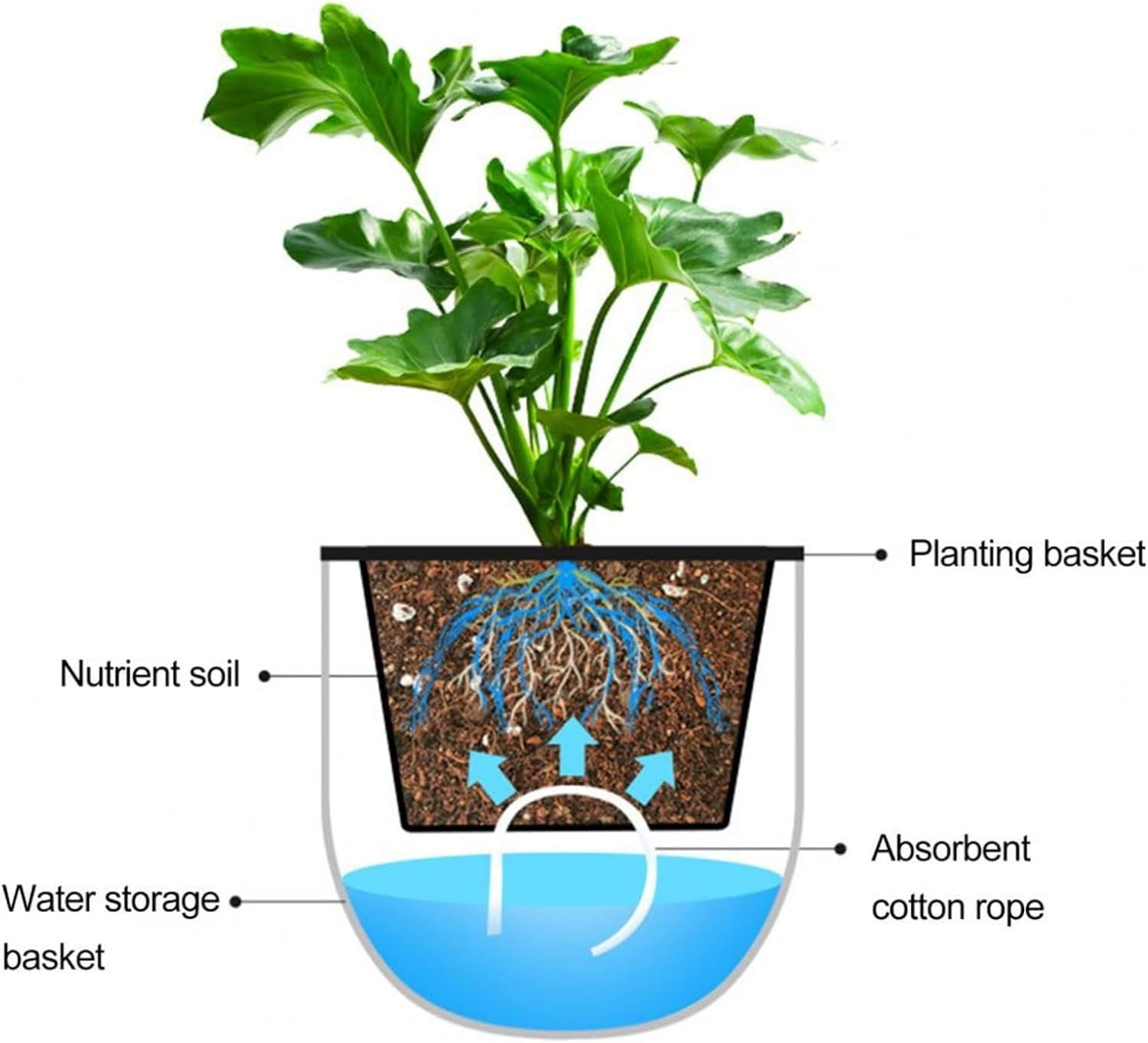 Bexikou 3-Pack Self Watering Hanging Planters, 4.5in Hanging Plant Pots with Drainage Holes & Chain Hooks for Home Balcony Garden Decor