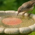 thumbnail image 2 of 1PCS Bird Bath Purification Disk Pure Copper Outside Winter Solar Powerful Birdbath Wild Bird Pedestal Cleaner Humming Feeder Cage Dispenser Heater Ground Garden Lover Women Gift, 2 of 9