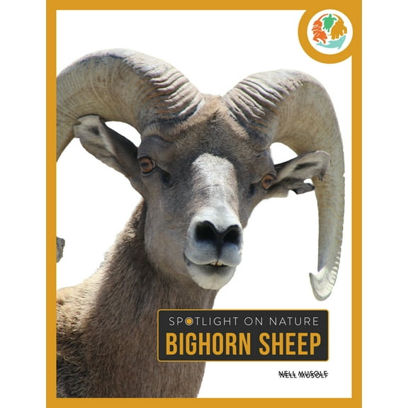 Spotlight on Nature Bighorn Sheep, (Hardcover)