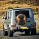 thumbnail image 5 of Fotbe Lake Meditating Elephant Funda de Llanta de Repuesto con Estampado, Engrosada, Ajuste Universal para Jeep, Remolque, RV, SUV, Camión-14 inch, 5 of 6