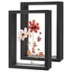 thumbnail image 1 of Paquete de 2 Marcos de Flores Prensadas de Madera, Marco de Imagen Flotante Doble de Acrílico de 4 x 6 Pulgadas para Flores Secas/Mesa/DIY/Artesanías [Negro], 1 of 7