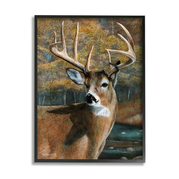 Stupell Industries Woodland Deer Portrait Animals & Insects Painting Black Framed Art Print Wall Art, 11 x 14