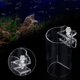 thumbnail image 4 of Anillo de Alimentación ANGGREK Flotante Flotante Fácil de Usar Para Pecera de Acuario, 4 of 8