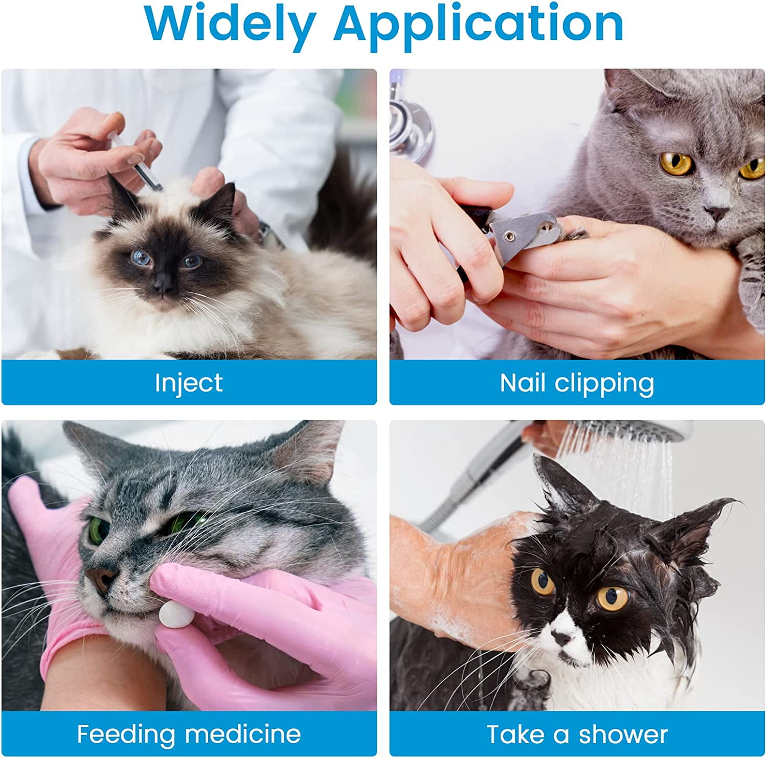 Cat nail covers clearance reviews