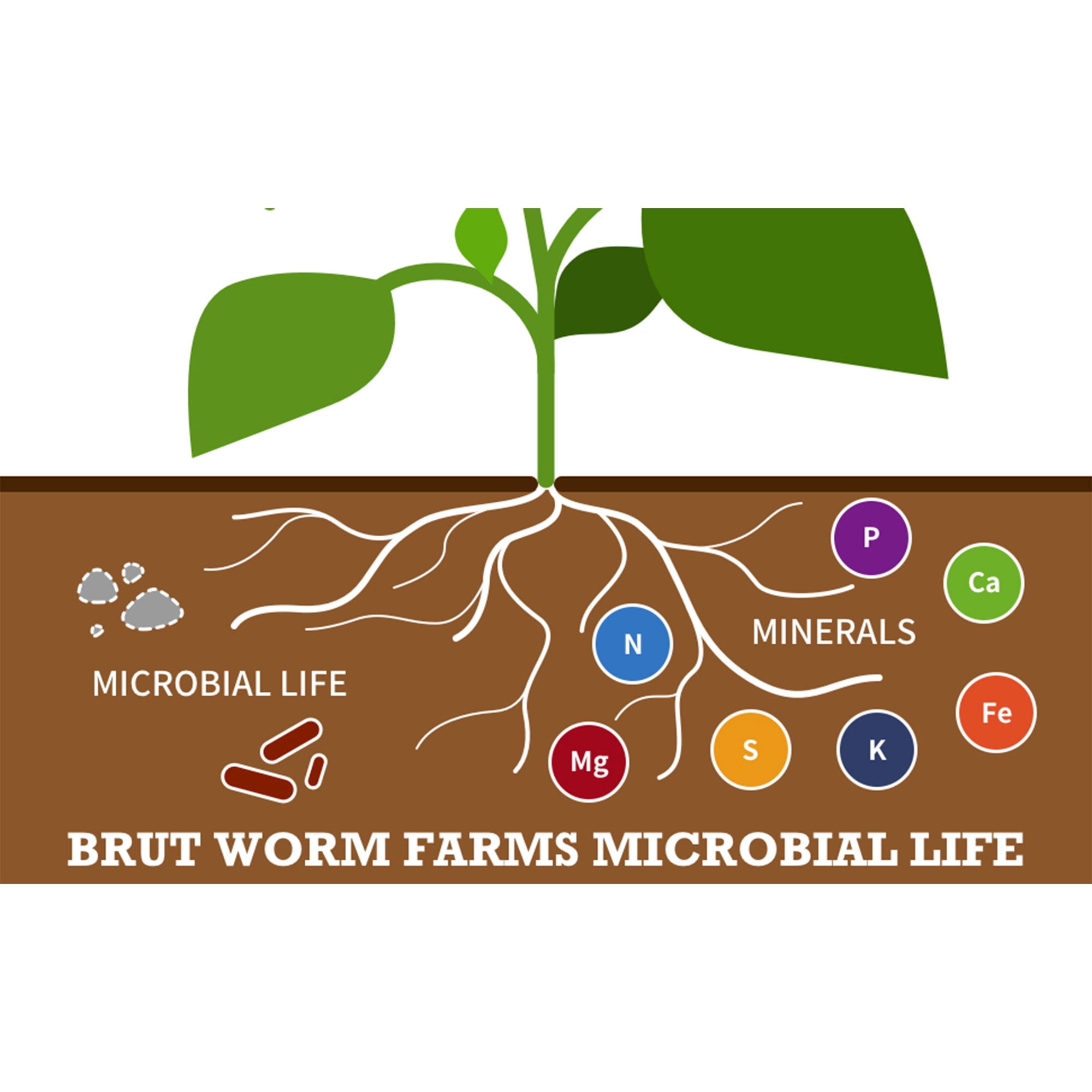 Brut Cow Compost, Composted Cow Manure Organic Soil Amendment Fertilizer, 1 Cu Ft