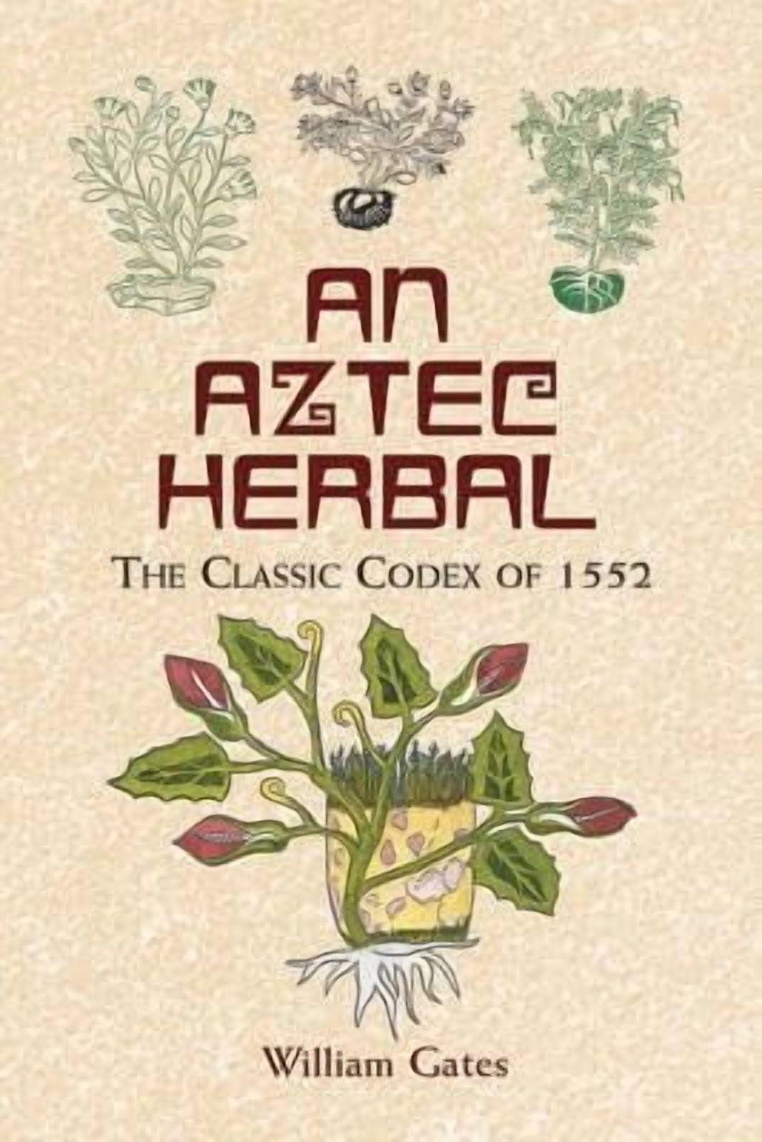 Native American: An Aztec Herbal : The Classic Codex of 1552 (Paperback)
