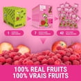 thumbnail image 3 of Bob Snail Apple Raspberry Fruit Stripes, 6 Stripe Pack, 7 Packs Included (42 Total Stripes), 3 of 5
