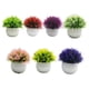 thumbnail image 3 of Plantas de simulación Wosthever 2 uds en maceta de plástico rosa, 3 of 6