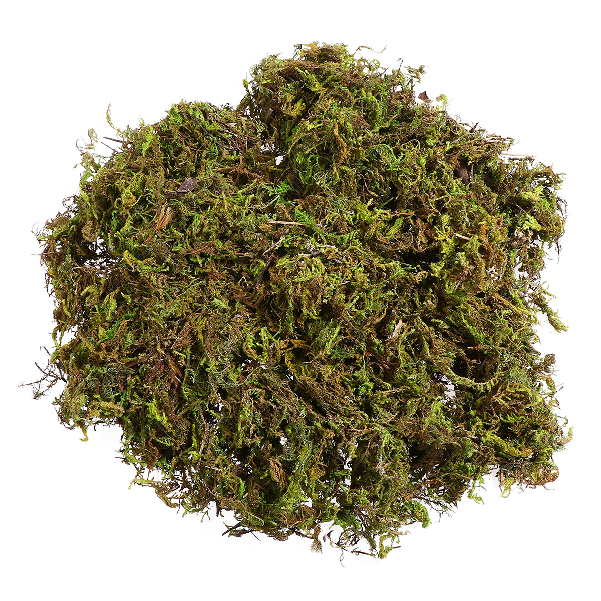 NUOLUX 1 Bag Natural Moss Lichen Green Plants for Home Garden Patio