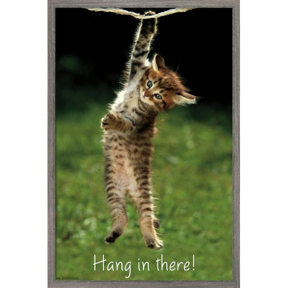 Famous Kitten Hang In There Poster Wall Poster, 14.725" x 22.375", Framed