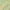 Green, variant on Addison Rugs Chantille Indoor/Outdoor Transitional Stripes Green Washable Rectangle Rug, 10' x 14'