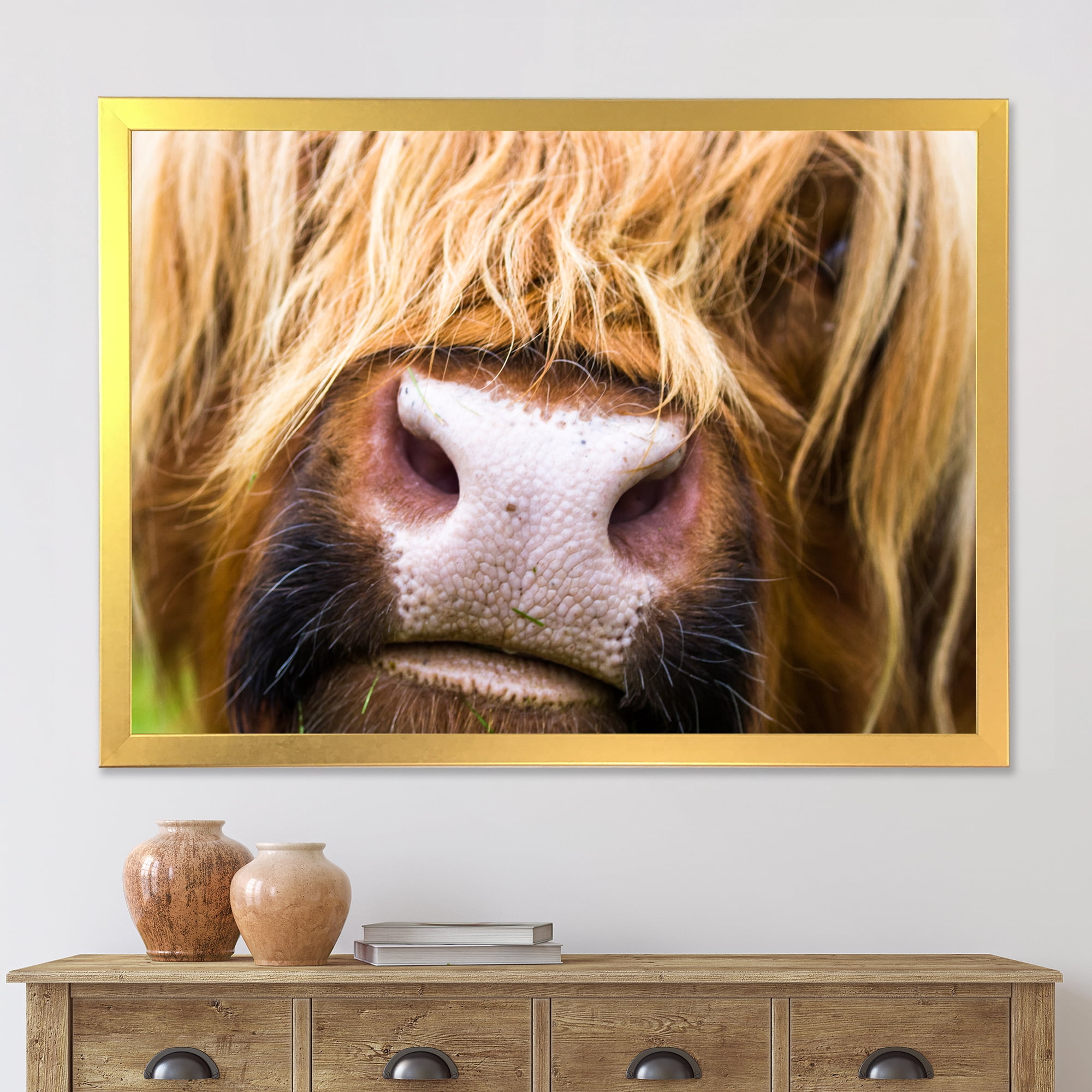 Designart 'Close-Up Highland Cattle' Farmhouse Framed Art Print