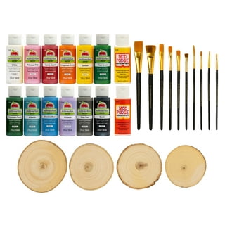 Apple Barrel Pouring Acrylic Craft Paint Set, 14 Piece Set Including 13  Apple Barrel Paints and 1 Apple Barrel Pouring Medium