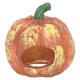 thumbnail image 1 of BESTYASH Resina De Calabaza Para Acuario Pecera Con Cueva Para Y Camarón, 1 of 8