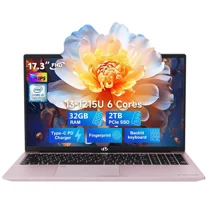 17.3" FHD IPS Business Laptop, 32GB RAM 2TB SSD, 12th Gen Intel Core i3-1215U (6-Cores Up to 4.4GHz Beat i5-1135G7), Type-C 65W PD Fast Charger, Win 11, Fingerprint Backlit Keyboard RoseGold