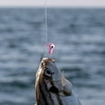 thumbnail image 5 of Têtes Colorées avec Hameçons Barbelés – Conception Durable pour Pêche en Eau Salée/douce, 5 of 5