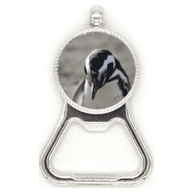 Bouchon Ouvre-Bouteille en Métal avec Image de Nature de Pingouins Mignons en Acier Inoxydable