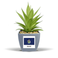 thumbnail image 1 of American State Flag Contour Maine Fake Pineapple Flower Pot Vase Mini Decor, 1 of 3