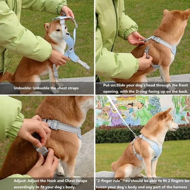 Dog harness for giant breeds discount