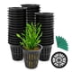 thumbnail image 1 of Vasos de malla ranurada Net Pot GROWNEER de 2 pulgadas para jardín (50 unidades), 1 of 7