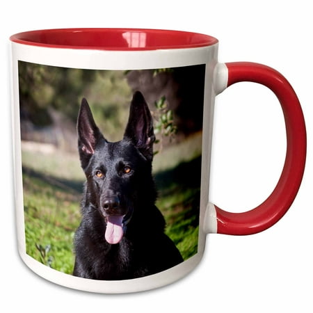

3dRose Portrait of a German Shepherd dog - NA02 ZMU0133 - Zandria Muench Beraldo - Two Tone Red Mug 11-ounce
