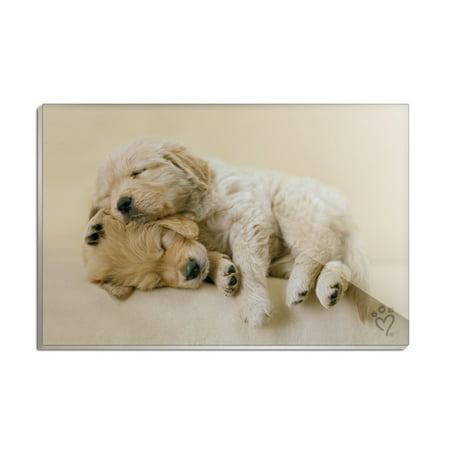 

Golden Retriever Puppies Dogs Friends Sleeping Rectangle Acrylic Fridge Refrigerator Magnet