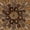 Brown/Gold, variant on Safavieh Heritage Alvina Floral Area Rug, Brown/Gold, 6' x 6' Square