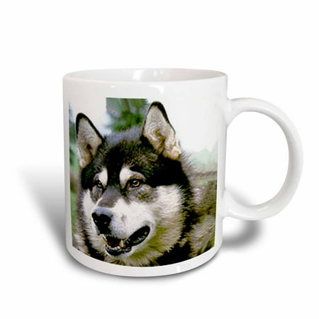 3dRose Alaska Malamute, Ceramic Mug, 11-ounce