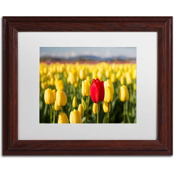 Trademark Fine Art "Red Tulip" Canvas Art by Pierre Leclerc, White Matte/Wood Frame