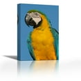 thumbnail image 1 of Blue and Yellow Macaw portrait, South America - Contemporary Fine Art Giclee on Canvas Gallery Wrap - wall décor - Art painting - 17 x 27 Inch - Ready to Hang, 1 of 2